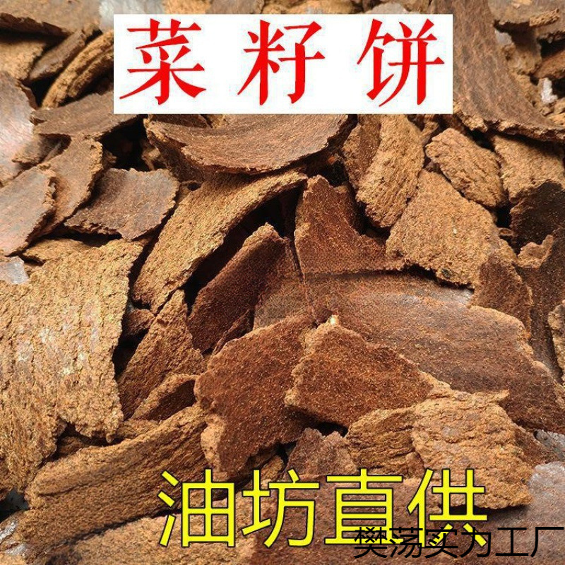 文件的另一大重点是“一体化推进乡村生态保护修复”和“发展生态低碳农业”